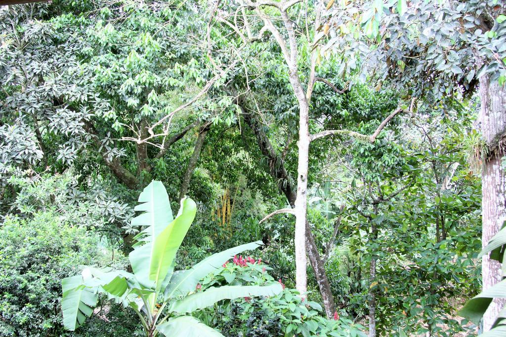 Hotel Monte Real La Fortuna Dış mekan fotoğraf